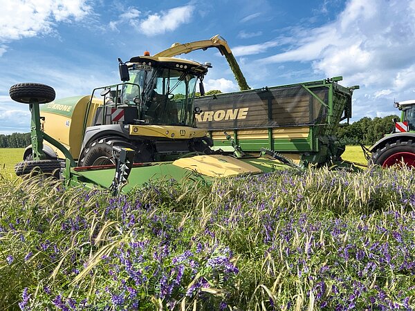 Harvesting without losses