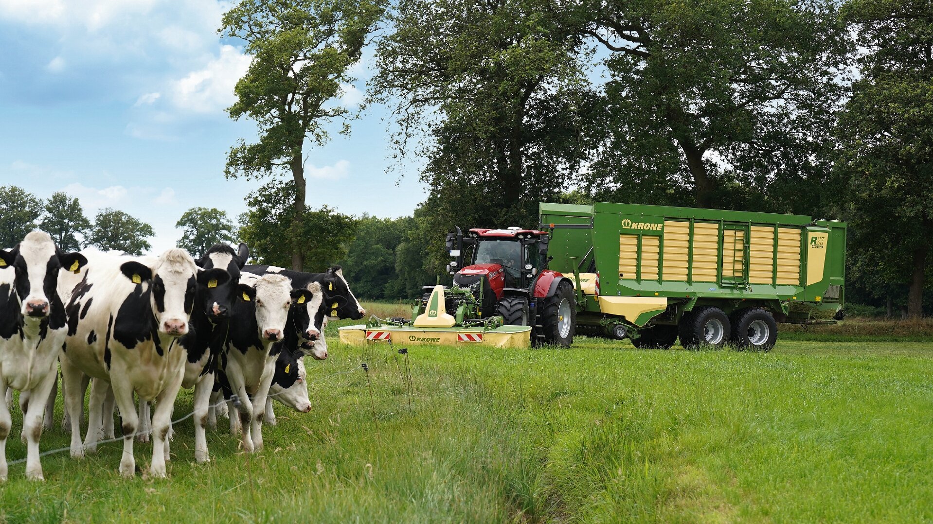 [Translate to EN (US):] 