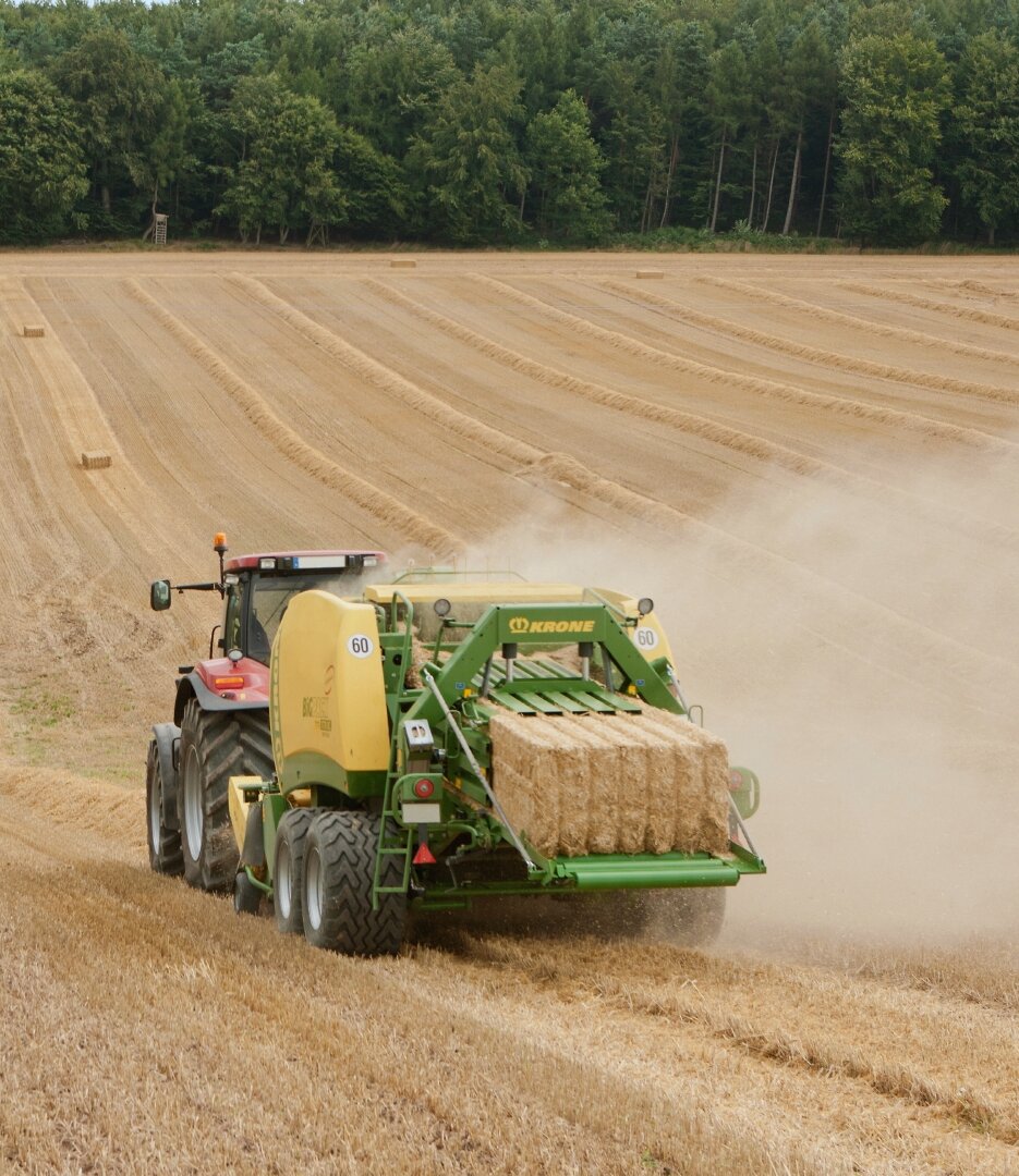 [Translate to EN (US):] 