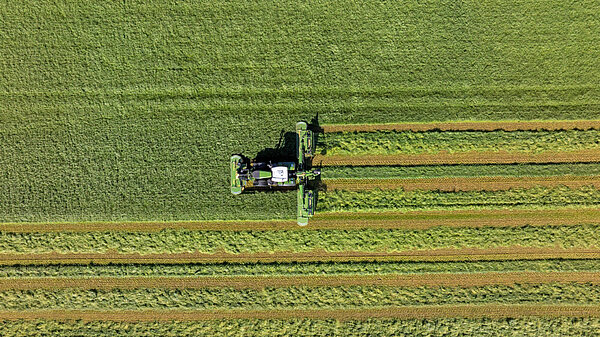 Customised swathing
